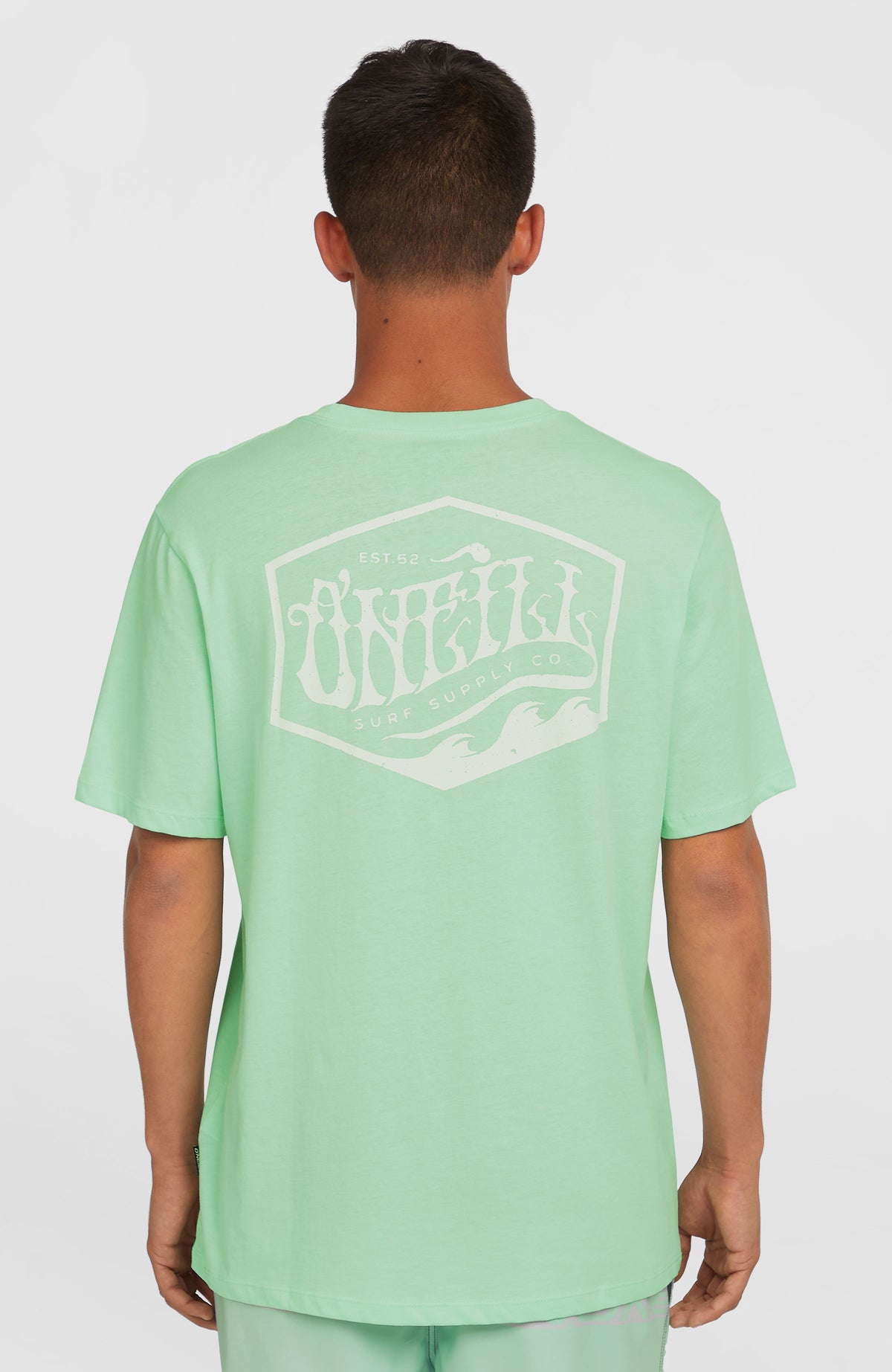 Box Logo T-shirt | Mildrew Mint