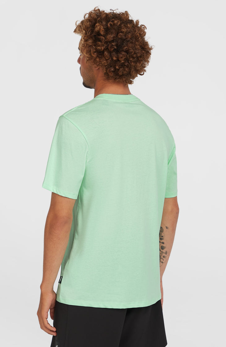 Stripe T-shirt | Mildrew Mint