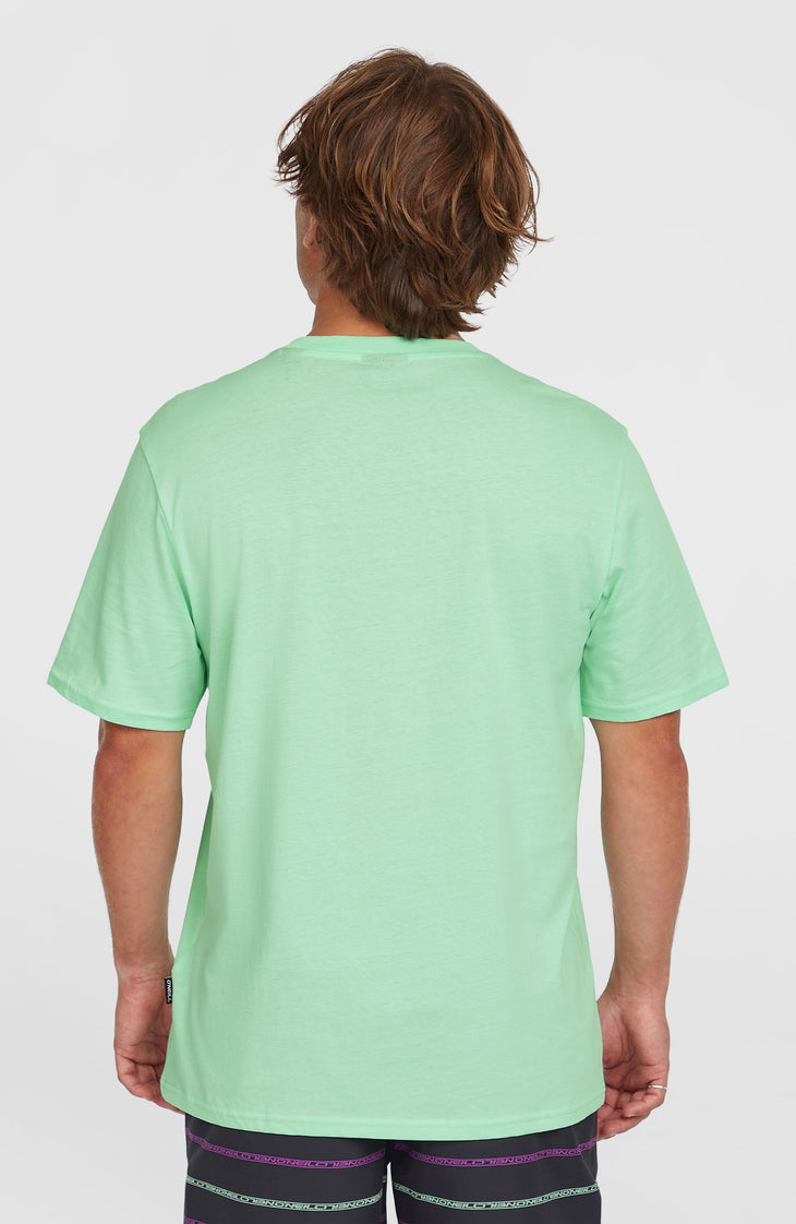 Jack O'Neill Muir T-shirt | Mildrew Mint