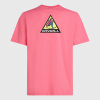 FWC'Play Graphic T-shirt | Skater Pink