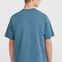 Future Surf Society T-shirt | Mozart Blue