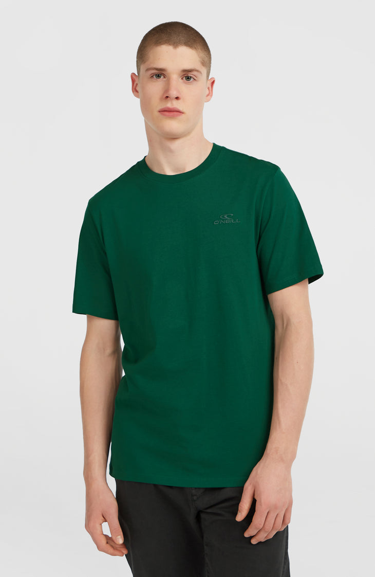 Small Logo T-shirt | Emerald Envy