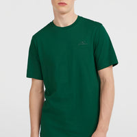 Small Logo T-shirt | Emerald Envy