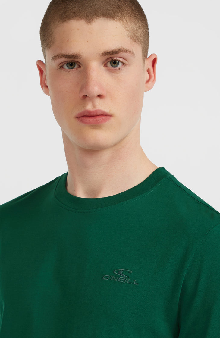 Small Logo T-shirt | Emerald Envy