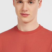 Re-Issue Graphic T-shirt | Hot Red