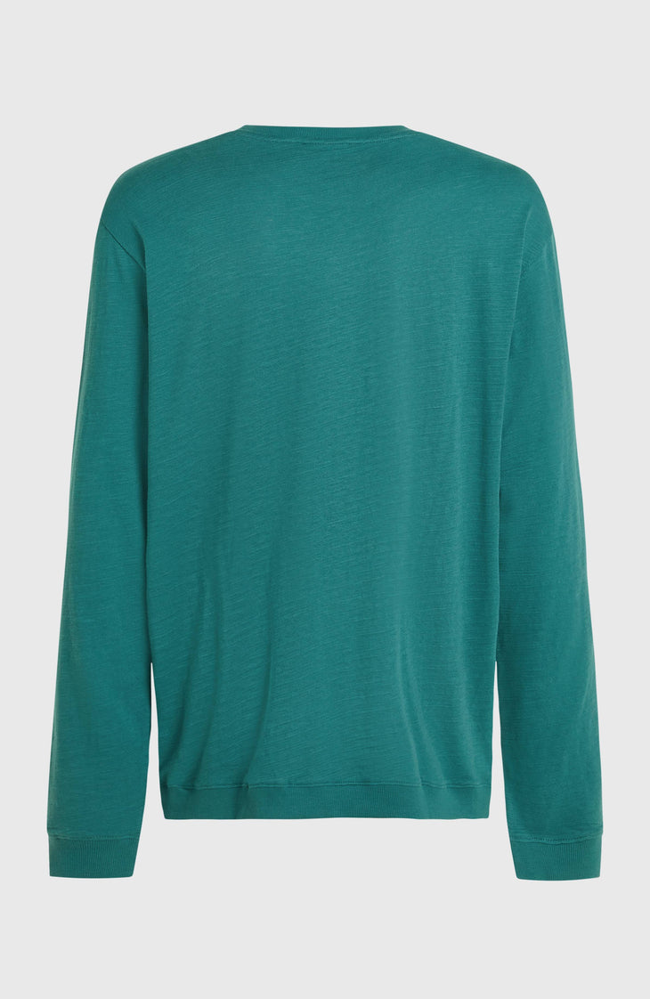 O'Neill Slub shirt met lange mouwen | Botanical Heat
