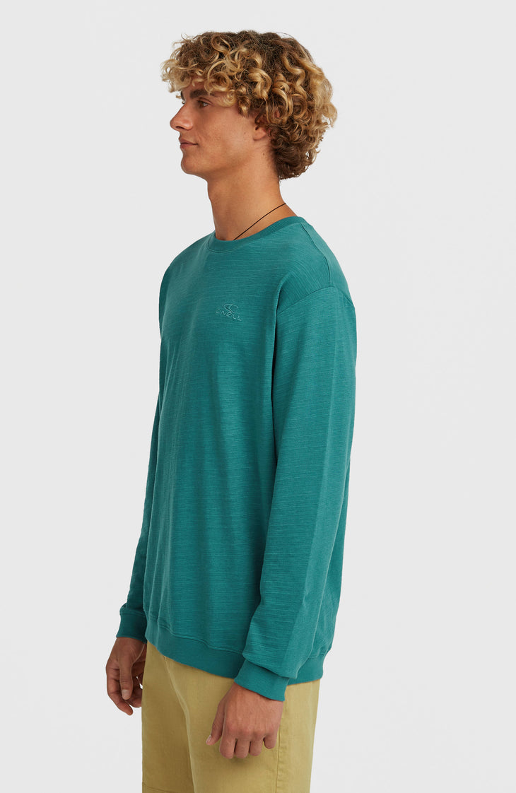 O'Neill Slub shirt met lange mouwen | Botanical Heat