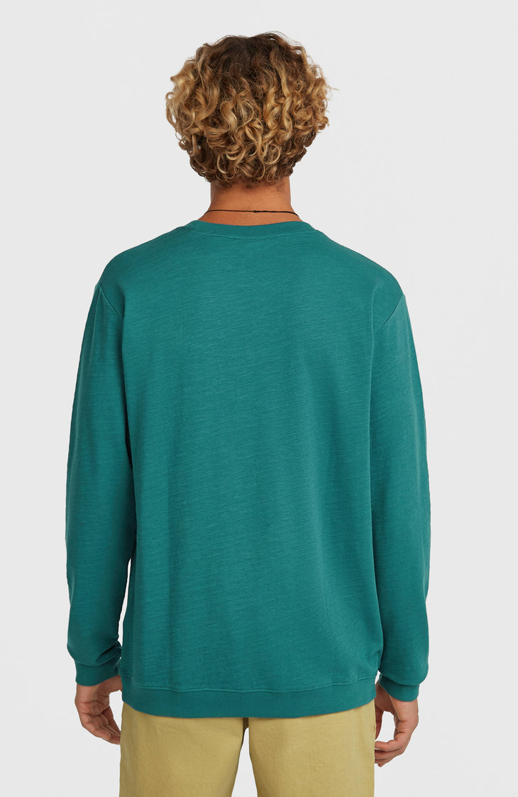 O'Neill Slub shirt met lange mouwen | Botanical Heat