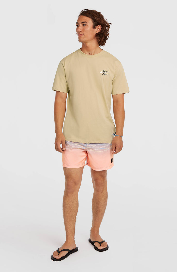 O'Neill Retro Back-Print T-shirt | Cocoa Sand