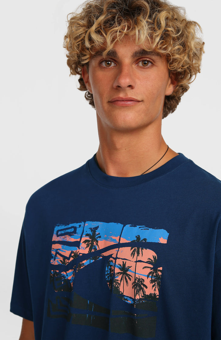 O'Neill Gradient T-shirt | English Evening