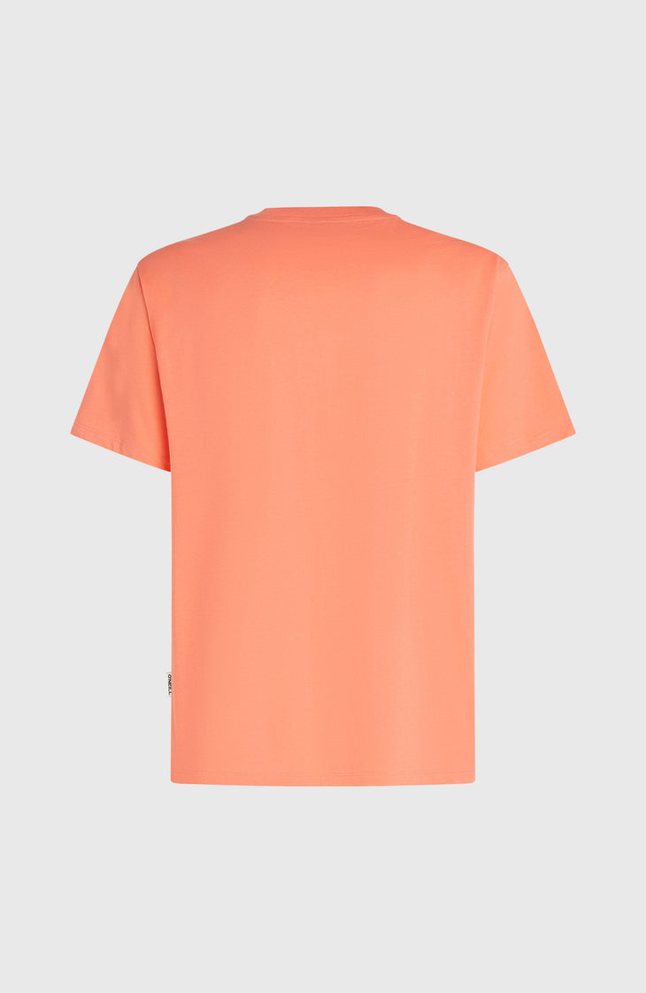 O'Neill Must-Have Graphic T-shirt | Funky Peach