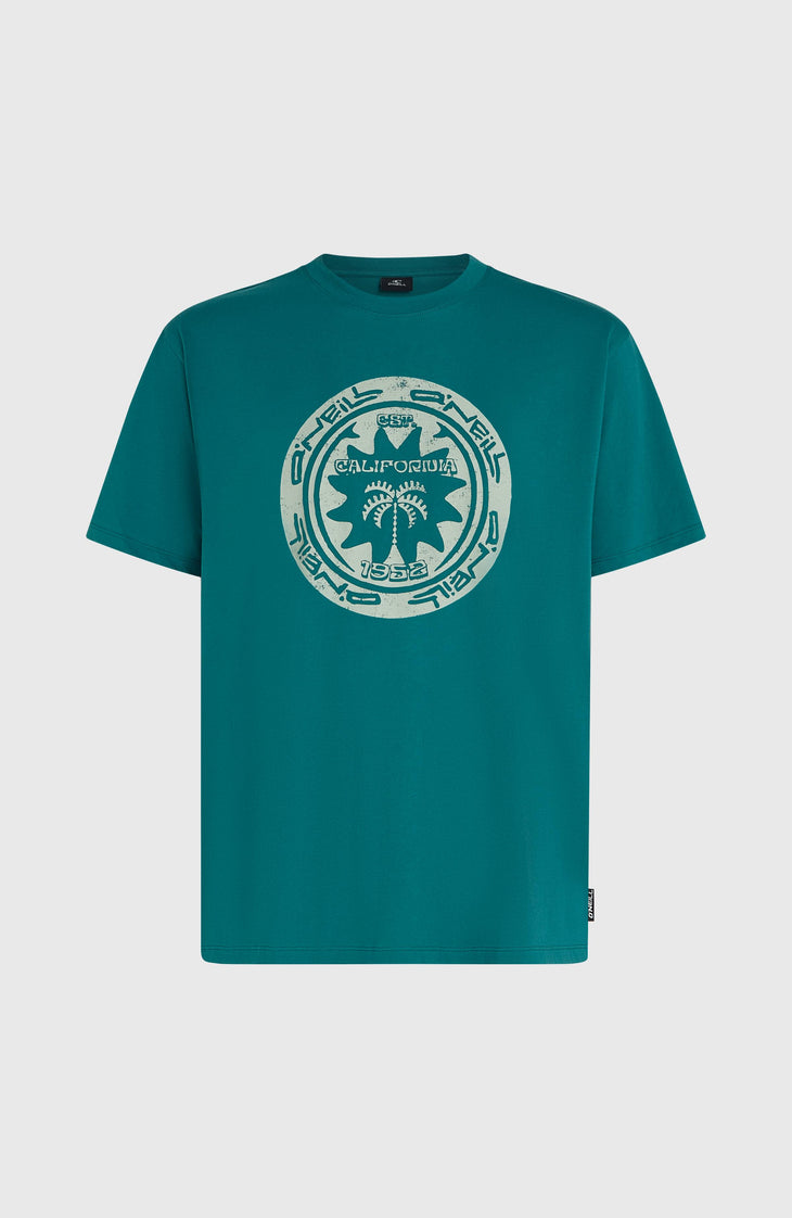 O'Neill Must-Have Graphic T-shirt | Botanical Heat