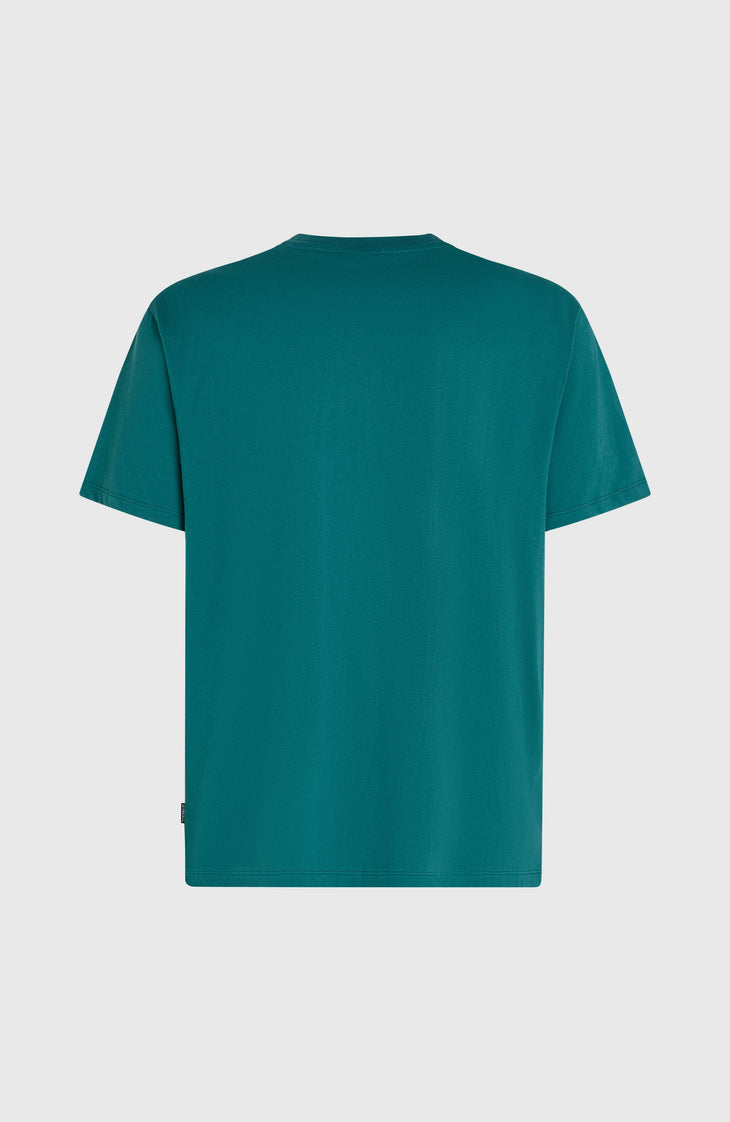 O'Neill Must-Have Graphic T-shirt | Botanical Heat