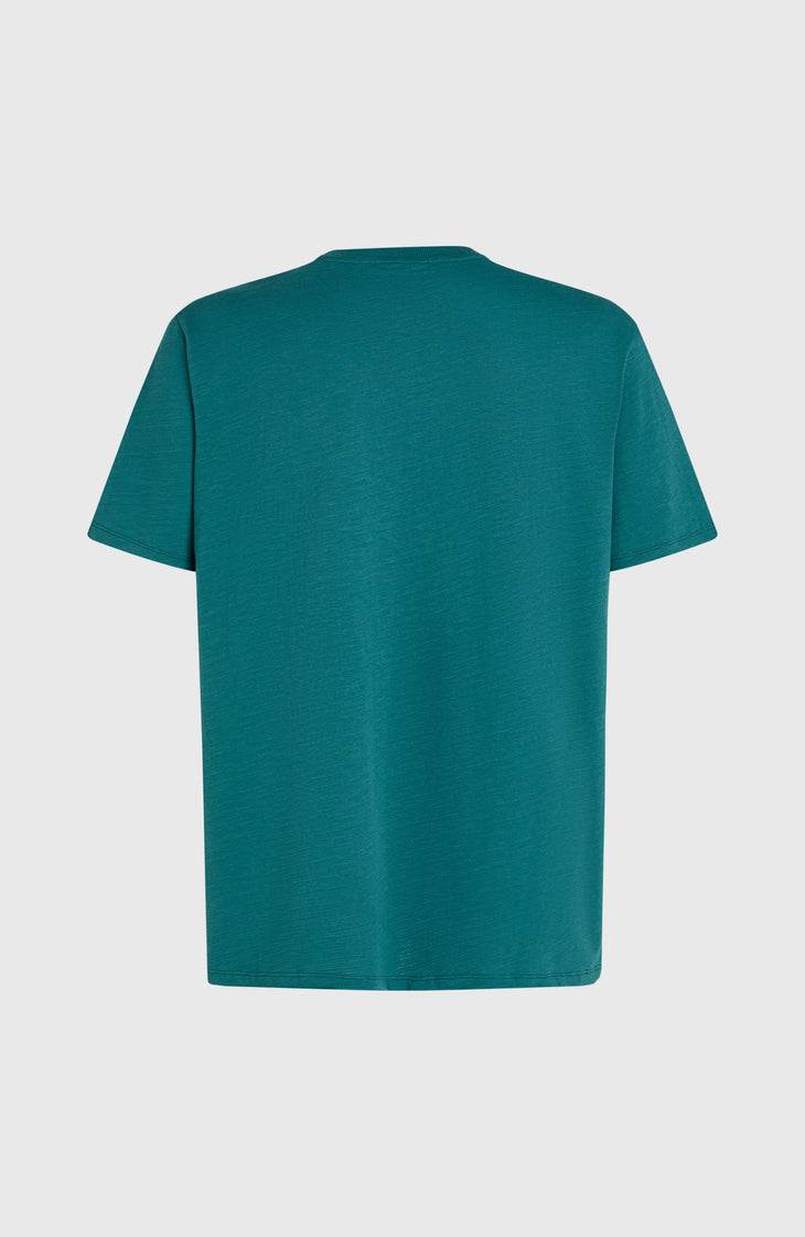 O'Neill Slub Chest Pocket T-shirt | Botanical Heat
