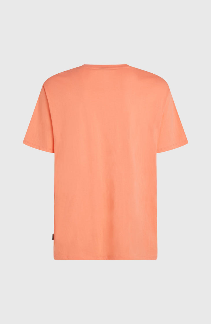 O'Neill Small Logo T-shirt | Funky Peach