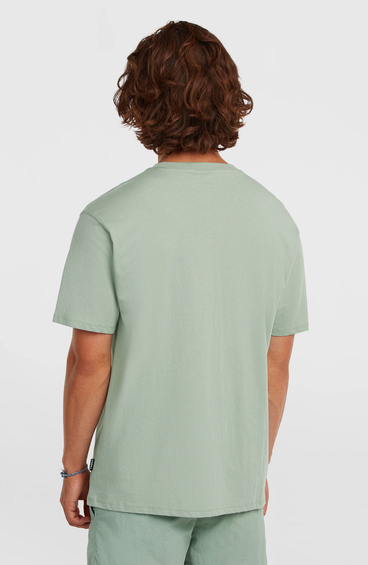 O'Neill Small Logo T-shirt | Marble Arch