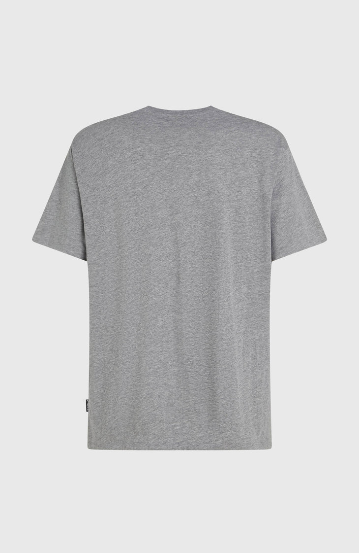 O'Neill Small Logo T-shirt | Silver Melee
