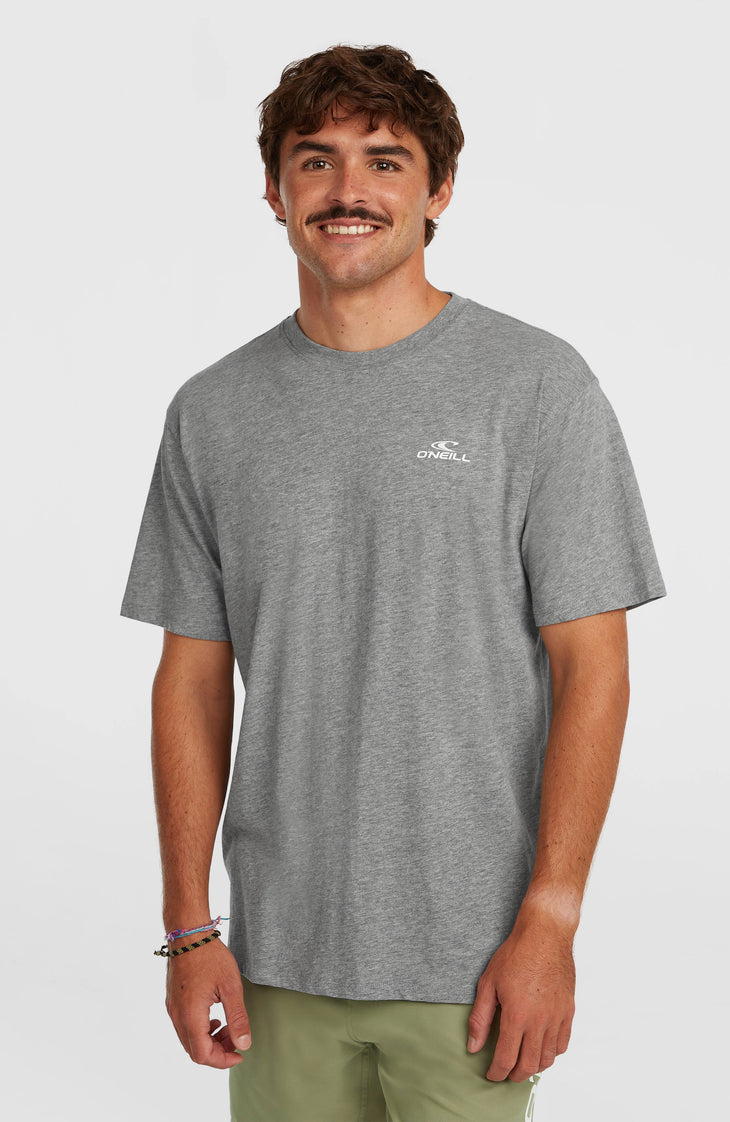O'Neill Small Logo T-shirt | Silver Melee
