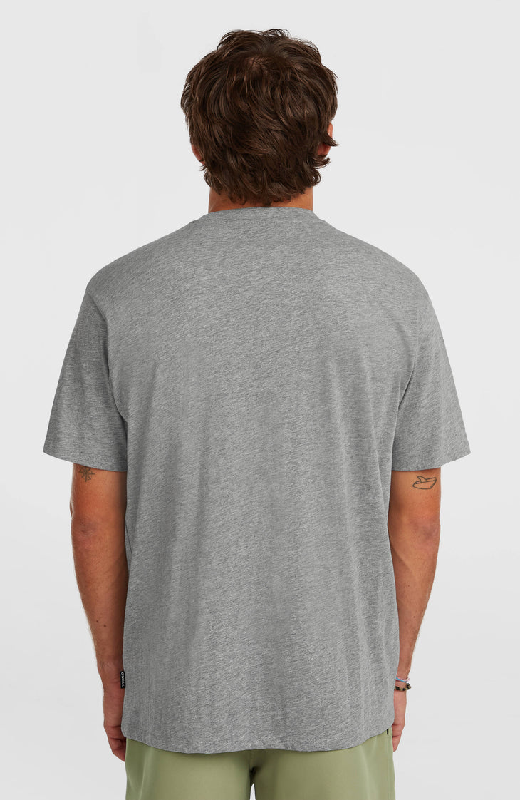 O'Neill Small Logo T-shirt | Silver Melee