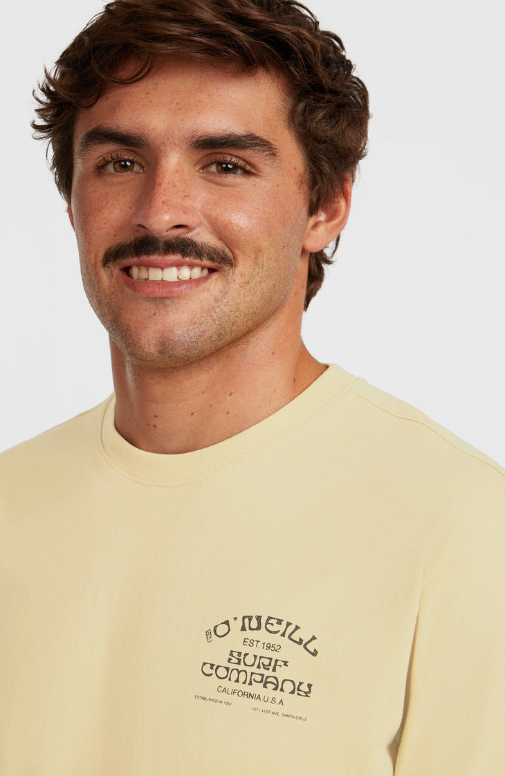 Melange Chest-Print T-shirt | Cocoa Sand