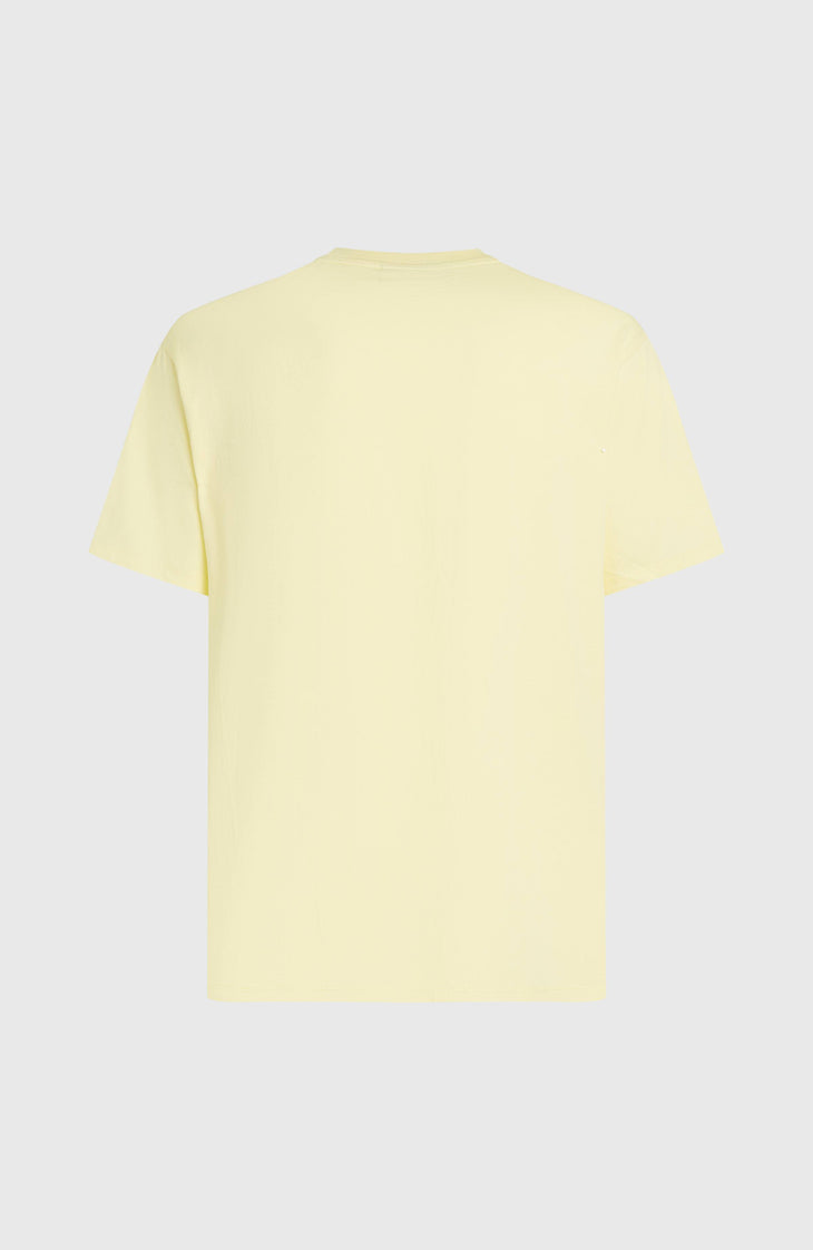 O'Neill Muir T-shirt | Rainforest Dew