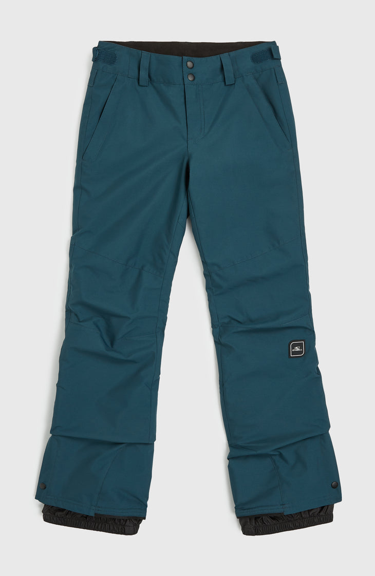 Star Regular wintersportbroek | Alma Steel