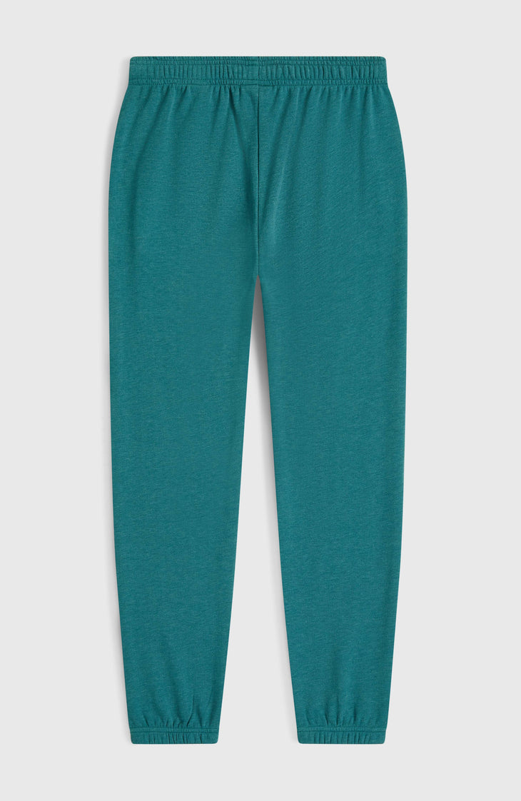 Essentials Script joggingbroek | Botanical Heat