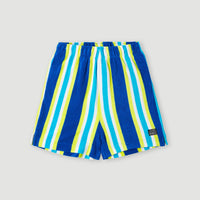 Short Brights Terry | Blue Towel Stripe