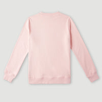 Circle Surfer Crew Sweatshirt | Peach Whip