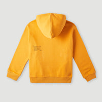 Future Surf Hoodie | Nugget