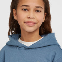 Essentials hoodie | Mozart Blue
