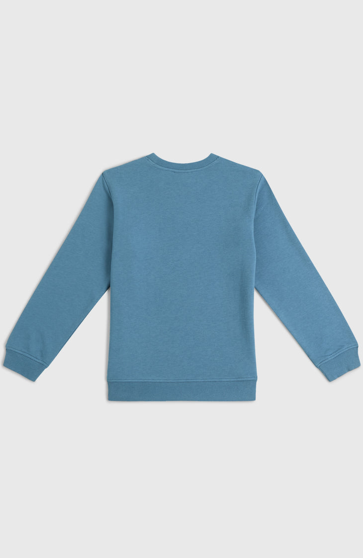 Essentials Crew sweater | Mozart Blue
