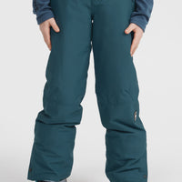 Hammer wintersportbroek | Alma Steel