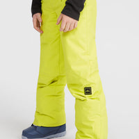 Hammer wintersportbroek | Luca Lime