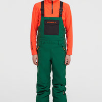 FWC'Cruz Bib wintersportbroek | Emerald Envy Colour Block