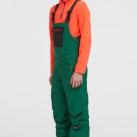 FWC'Cruz Bib wintersportbroek | Emerald Envy Colour Block