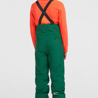 FWC'Cruz Bib wintersportbroek | Emerald Envy Colour Block