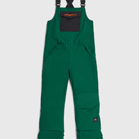 FWC'Cruz Bib wintersportbroek | Emerald Envy Colour Block