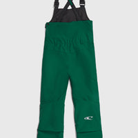 FWC'Cruz Bib wintersportbroek | Emerald Envy Colour Block