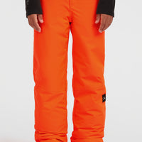 FWC'Cruz wintersportbroek | Tokyo Lights