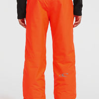 FWC'Cruz wintersportbroek | Tokyo Lights