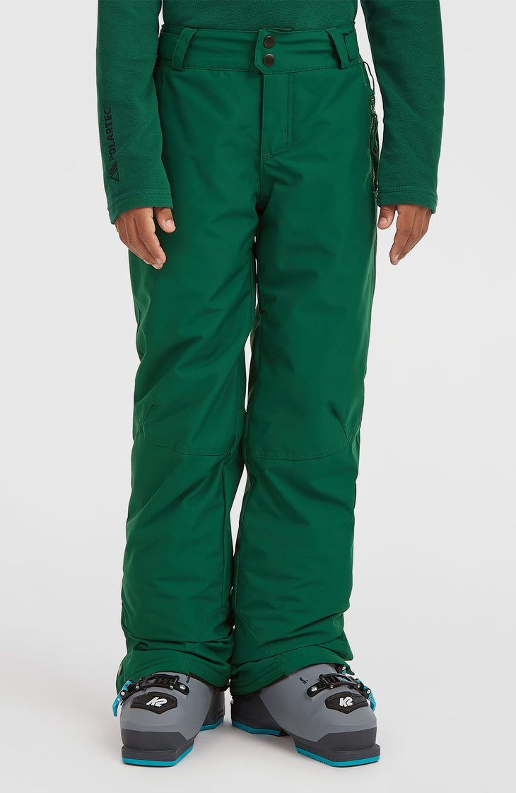 FWC'Cruz wintersportbroek | Emerald Envy