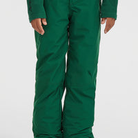 FWC'Cruz wintersportbroek | Emerald Envy