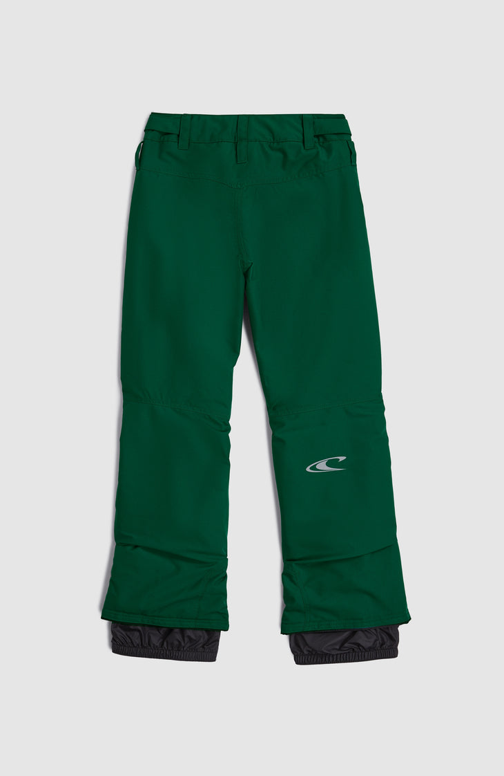 FWC'Cruz wintersportbroek | Emerald Envy