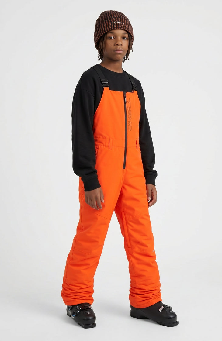FWC'Cruz Bib wintersportbroek | Tokyo Lights