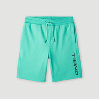 O'Neill Joggingshort | Sea Green