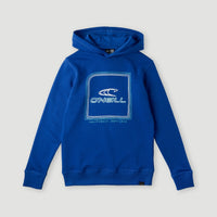 All Year hoodie | Surf the web Blue