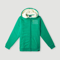 Surf State Sherpa Lined Hoodie | Greenlake