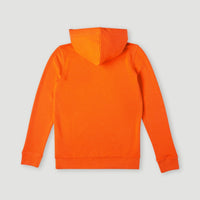 Cube Hoodie | Puffin's Bill