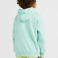 Hoodie Checker | Beach Glass